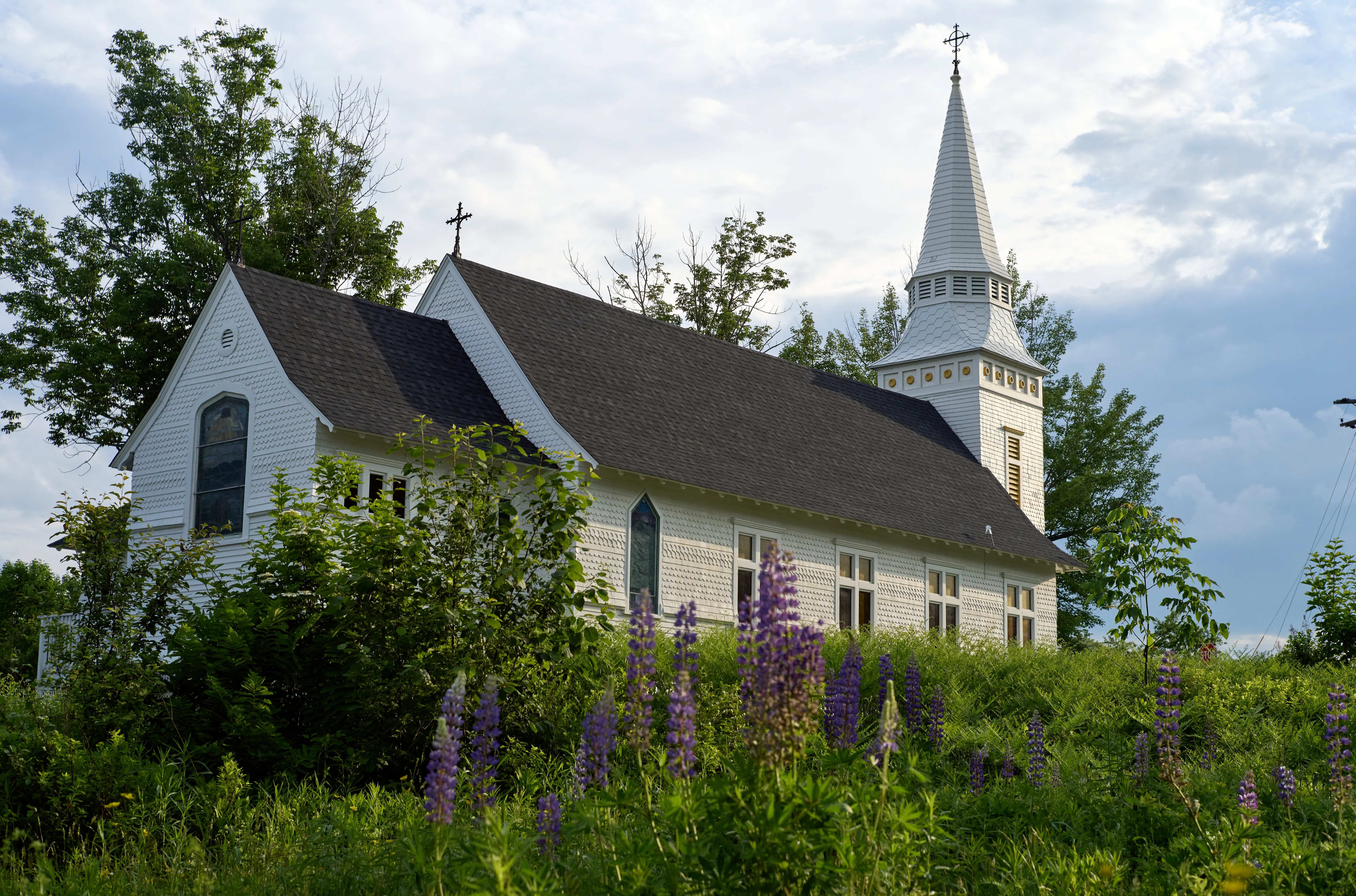 St. Matthew's Chapel rising behind lupines, warm light catching the white clapboard siding