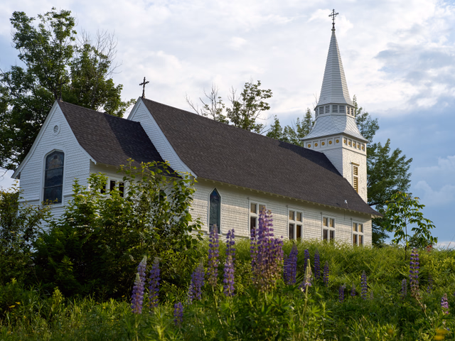 St. Matthew's Chapel with lupines in the foreground, warm afternoon light on the clapboards
