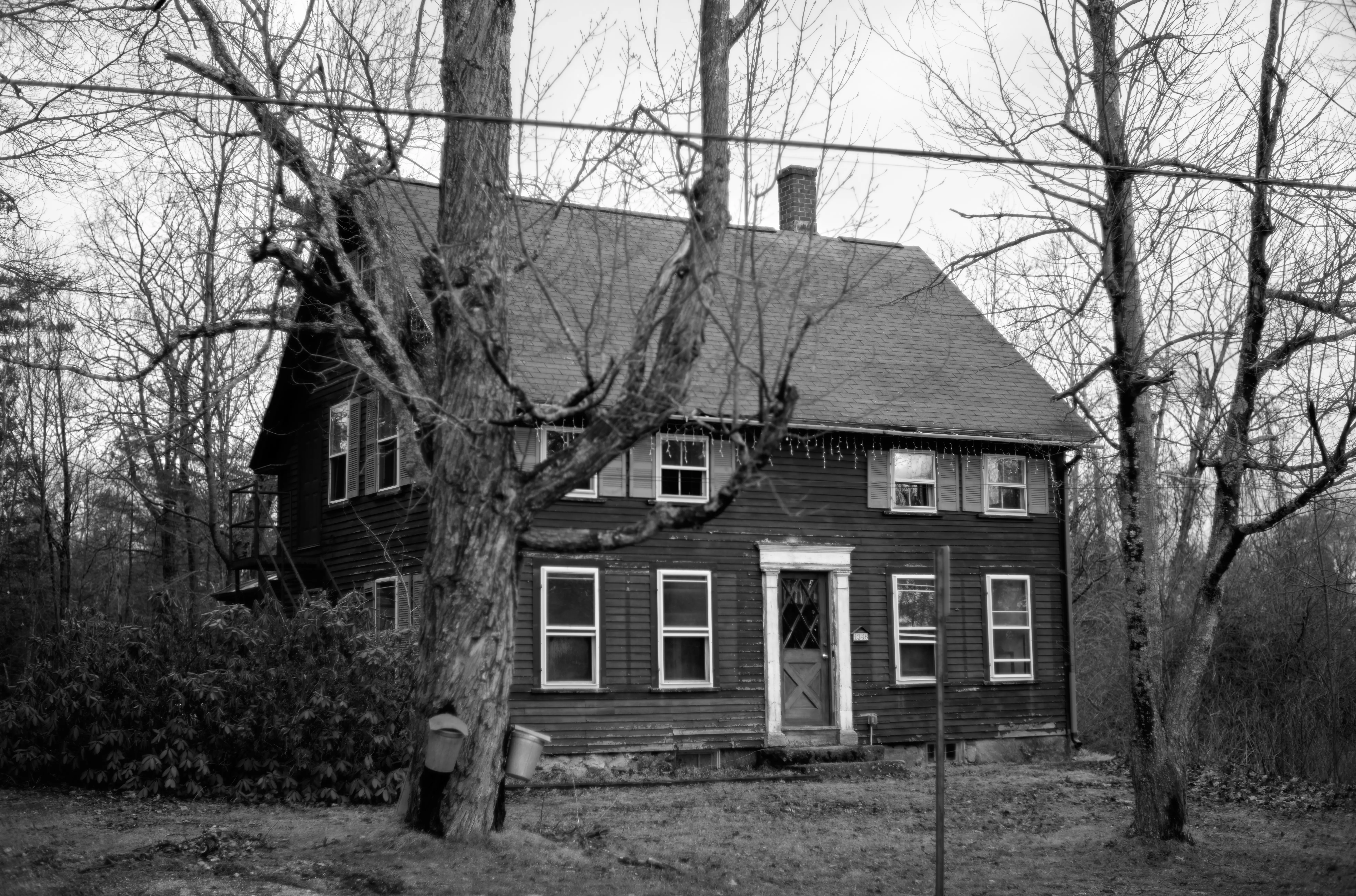 Farmhouse through bare winter branches, sap bucket visible at the base of the foreground tree
