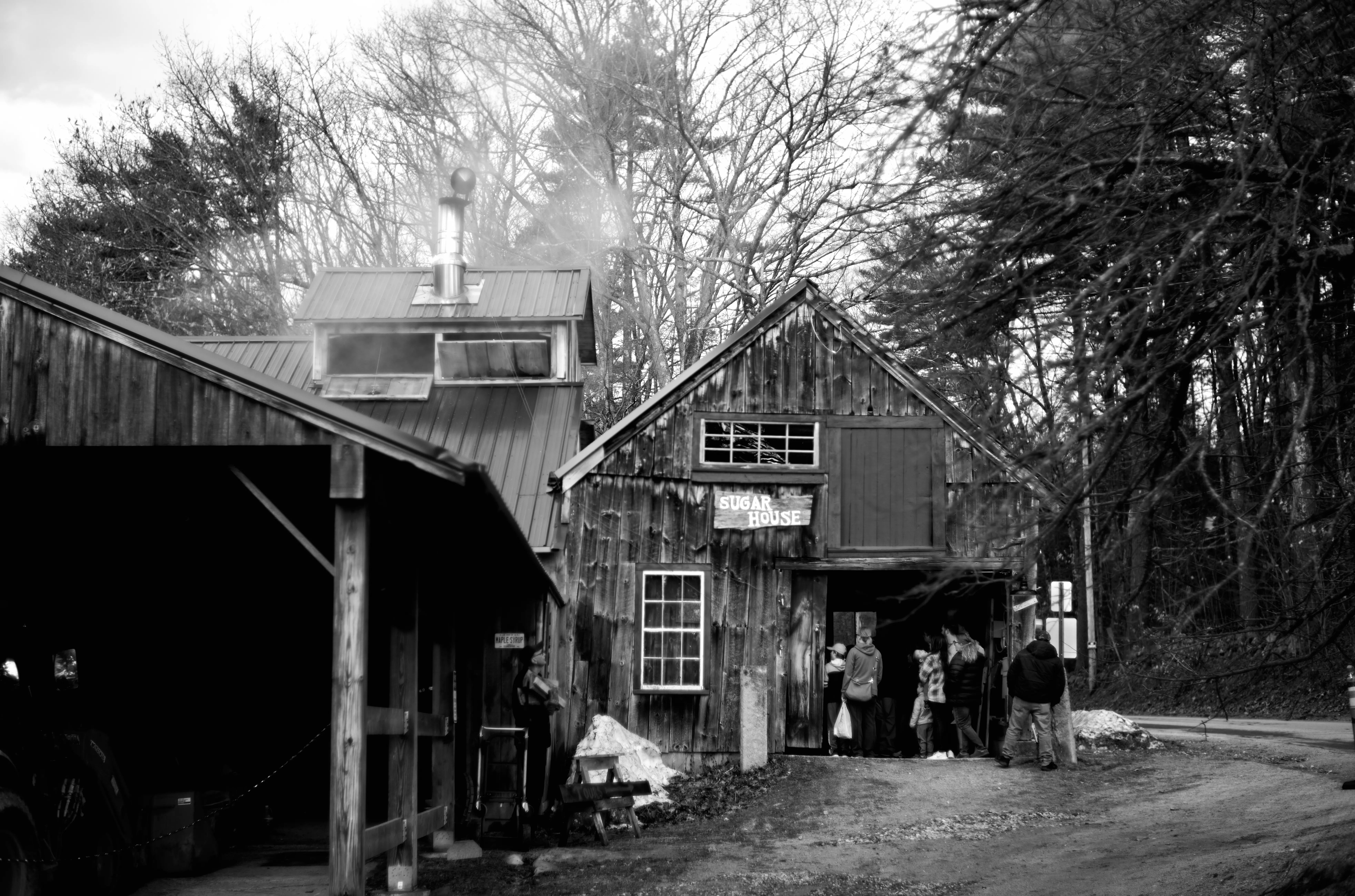 Parker's sugar house with steam rising from the stack, visitors gathered at the entrance